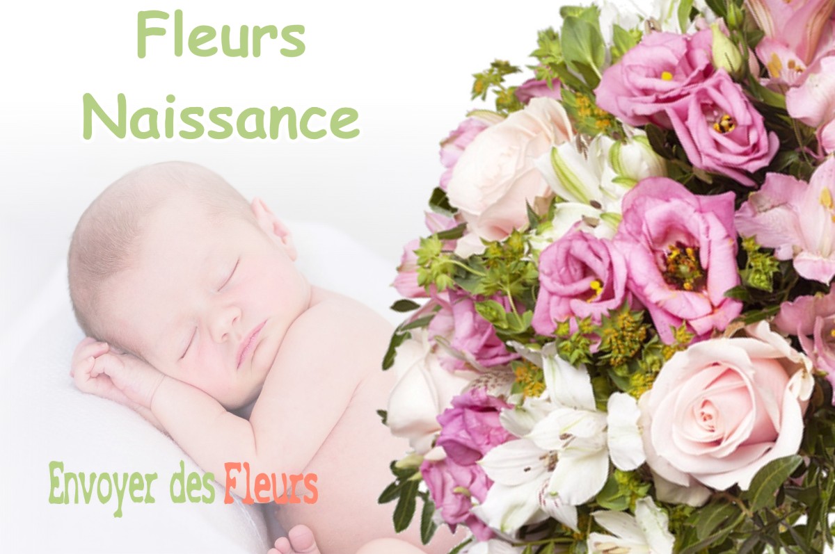 lIVRAISON FLEURS NAISSANCE à LA-CHAPELLE-ONZERAIN